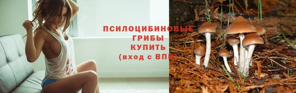 бошки Зеленодольск