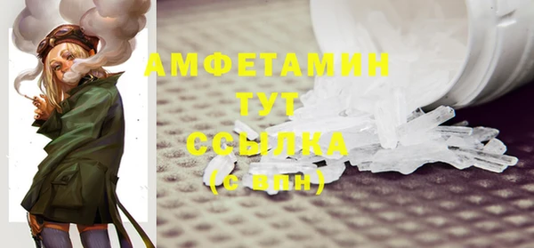 мдпв Инсар