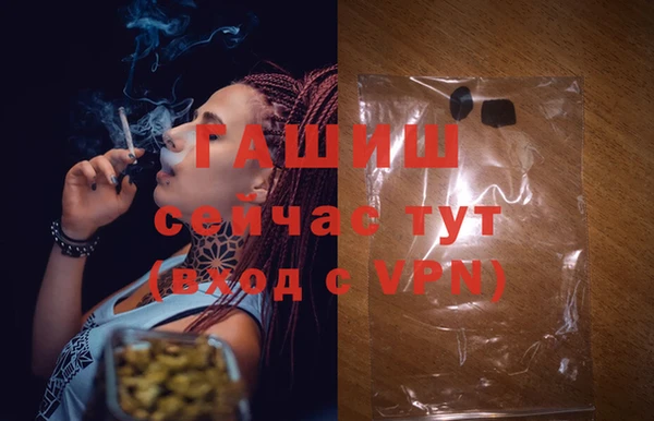 мдпв Инсар