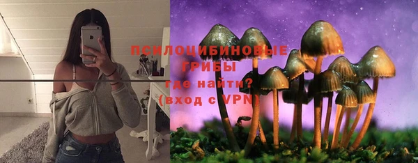 ешки Зерноград