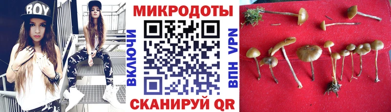 Купить  Белебей  Галлюциногенные грибы Magic Shrooms 
